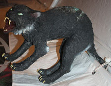 Black Cat