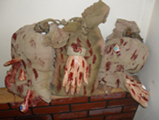 Bodybags