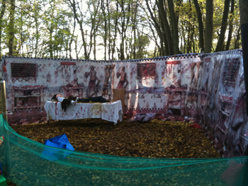 Butchers Chop Shop