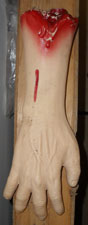 Severed Hand