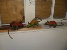 Toxic Rats